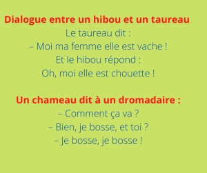 Droles De Blagues Xale Yi